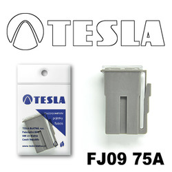  Tesla    FJ09 75 |  FJ0975A