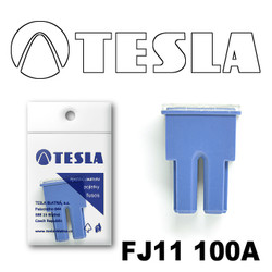  Tesla    FJ11 100 |  FJ11100A