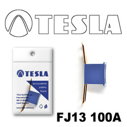  Tesla    FJ13 100 |  FJ13100A