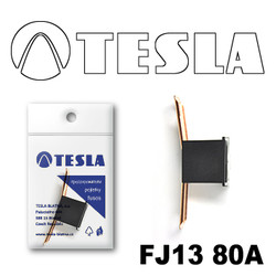  Tesla    FJ13 80 |  FJ1380A