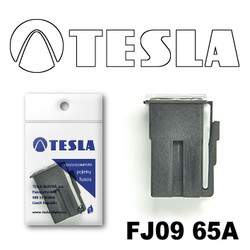  Tesla    FJ09 65 |  FJ0965A